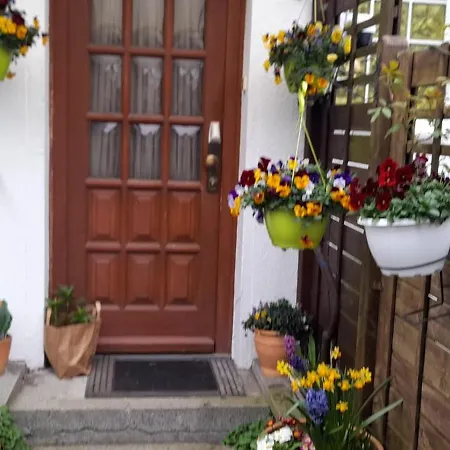 Appartement Entenhausen *
