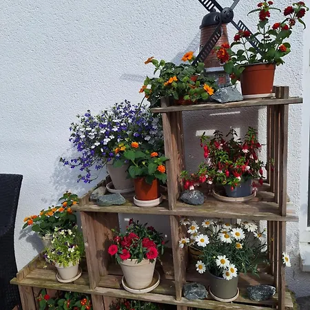 Entenhausen Apartamento *