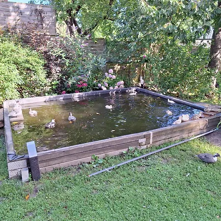 Entenhausen Apartamento *